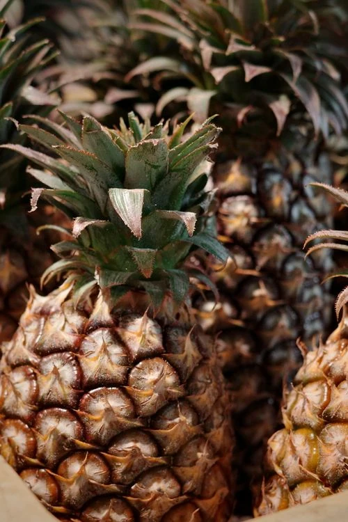 Fresh pineapples photographed close up